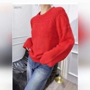 EVRI SWEATER SIZE 2x